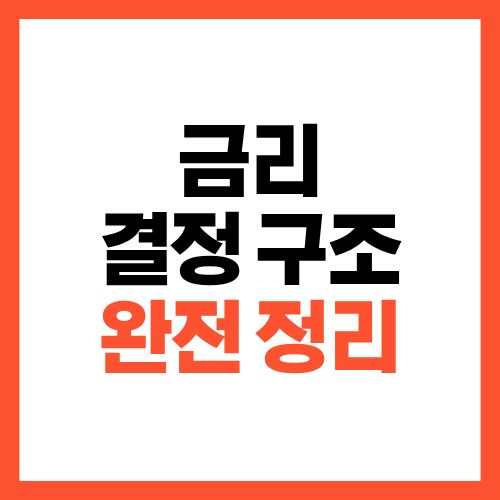 금리 결정 구조