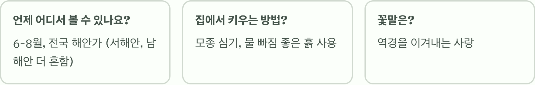 바닷바람을 이기는 꽃, 갯패랭이꽃의 모든 것