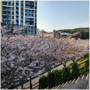동삼해수천로