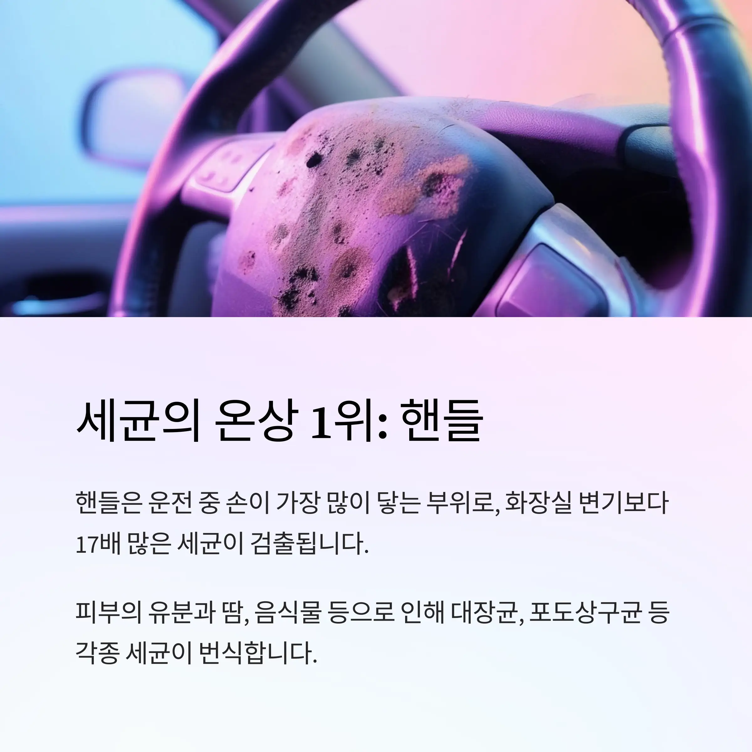 차내부청소관리 정보