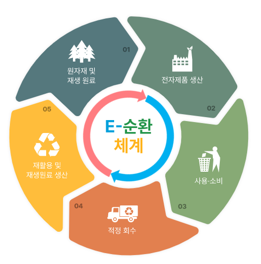 E-순환체계
