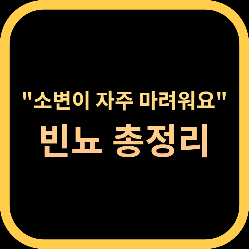 빈뇨 증상 총정리