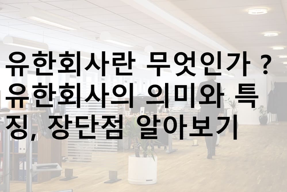 유한회사, 유한회사 특징, 유한회사 장점, 유한회사 단점, 유한회사 설립, 주식회사 차이, 유한회사 의미