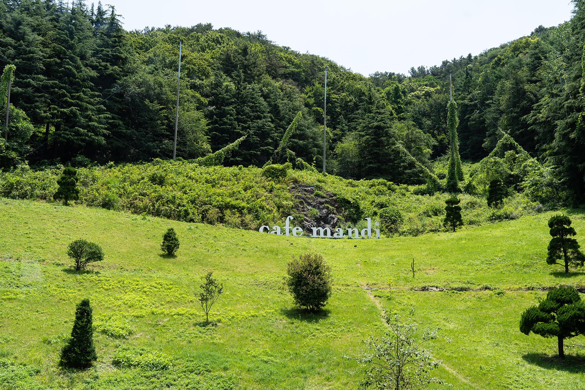 괴정 카페 만디