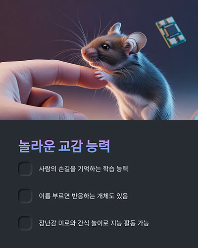 사람과의 교감 가능성