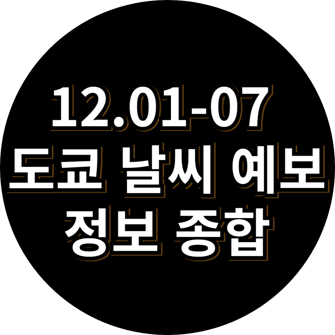 12월 도쿄 날씨 정보