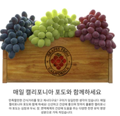 캐시워크 돈버는퀴즈 정답 썸네일