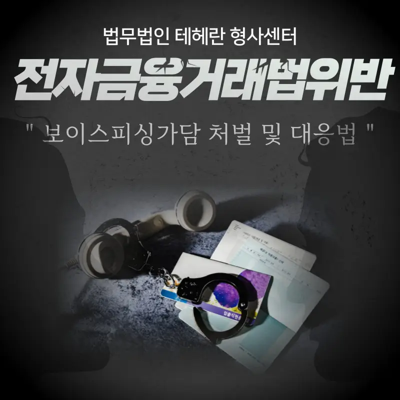 전자 금융 거래 법 위반