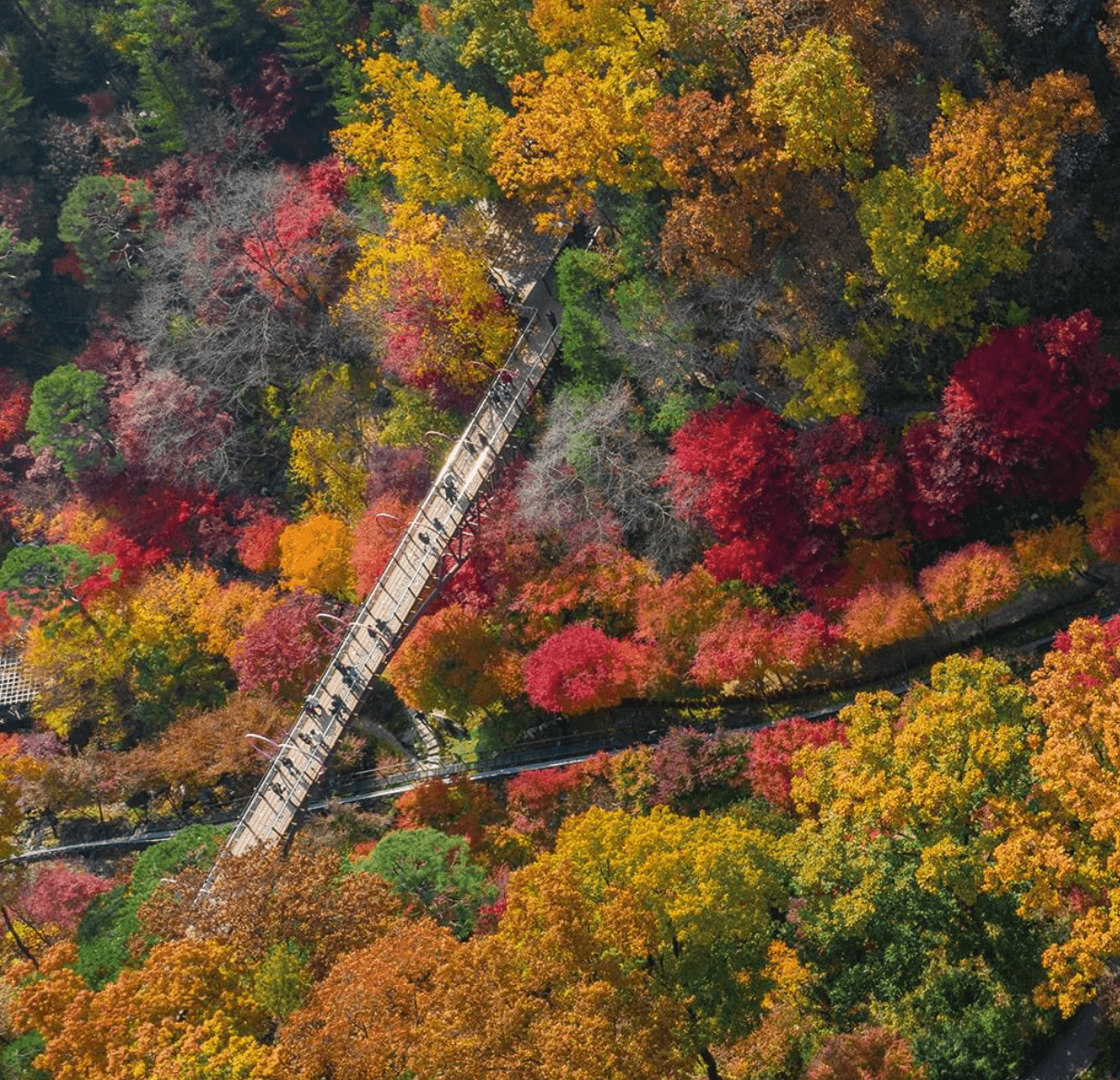 화담숲 단풍시기