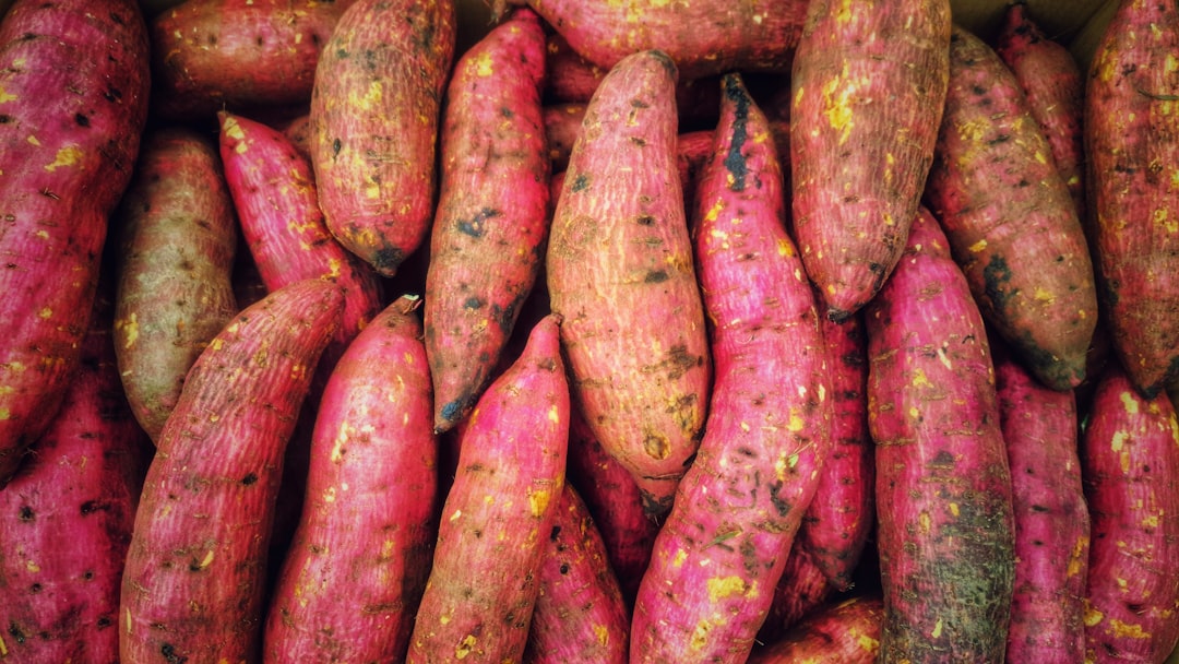 Yam