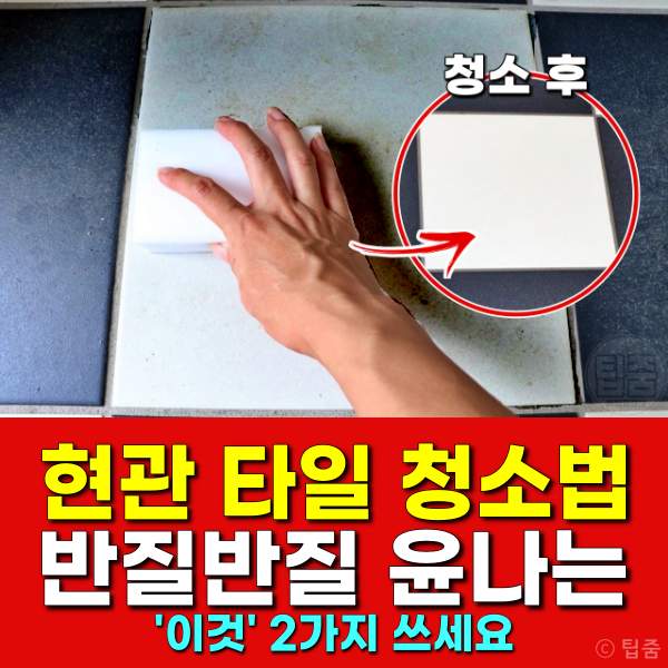 현관 타일 청소,현관 청소하는법,현관청소 어떻게