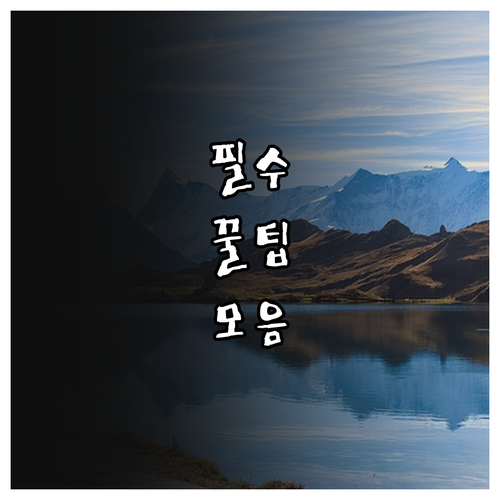 2025 부산시민공원 주차비 절약 5..