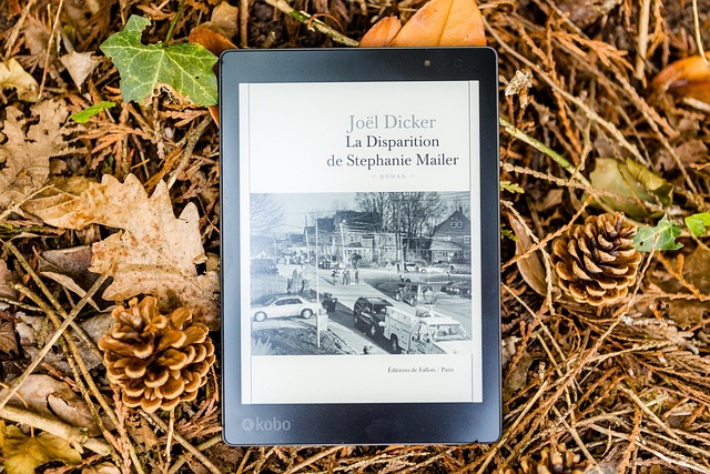 이북리더기 추천(장점과 단점&amp;#44; 주요 브랜드 추천)