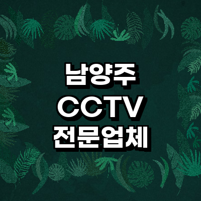 남양주시 cctv