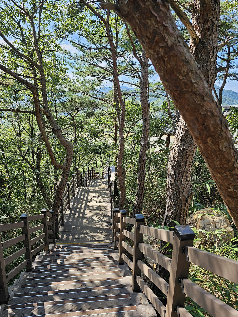 임경대 가는 마지막 계단