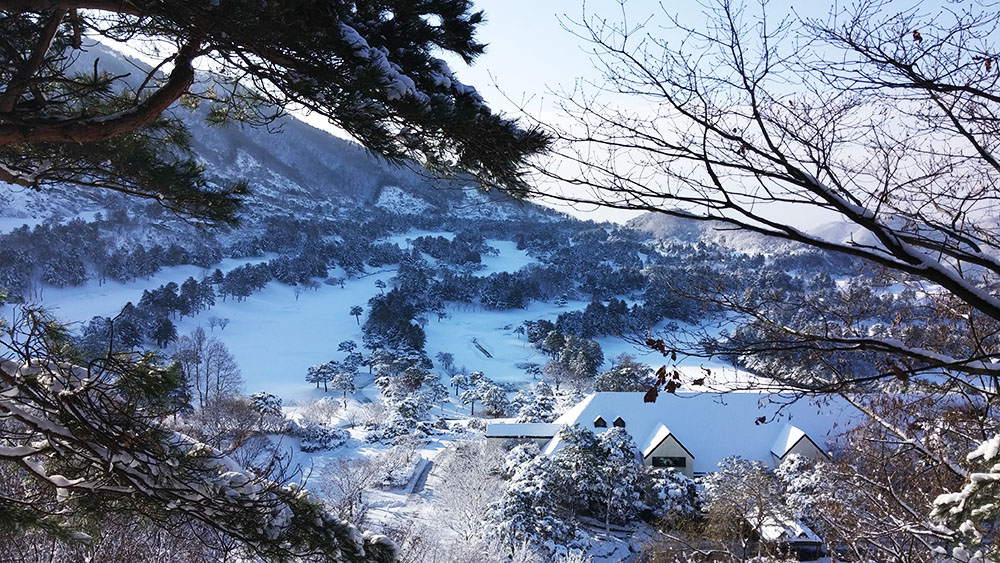 용인 마운틴캠핑장 소개
