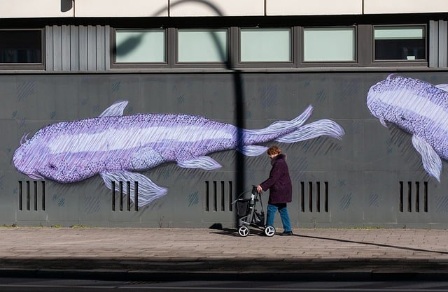 사설 컬렉션의 힘과 역할