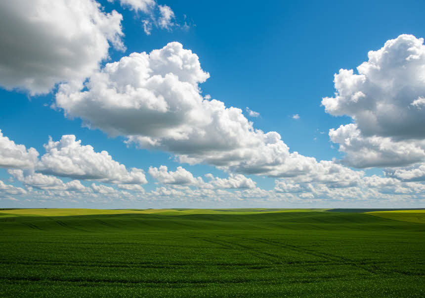 감정을 다스리기 위한 글귀