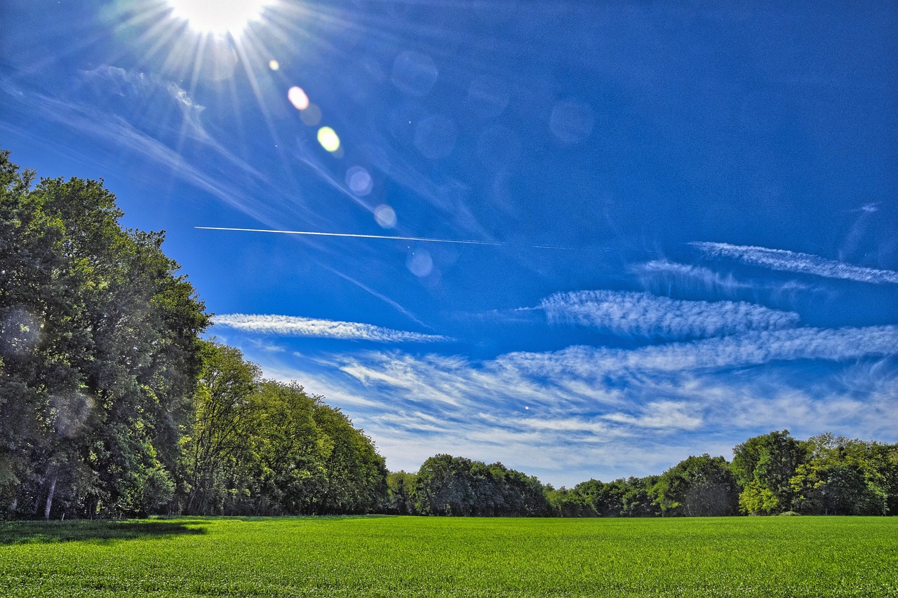 전월세신고제 대상