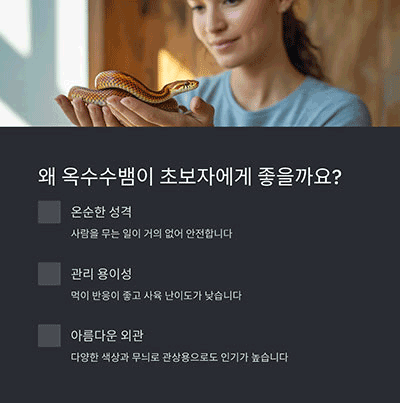 옥수수뱀 키우기, 초보자도 부담 없이 도전해 보세요