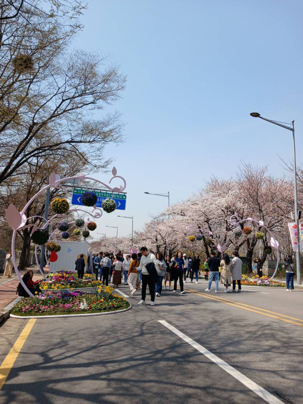 윤중로 봄꽃축제 초입