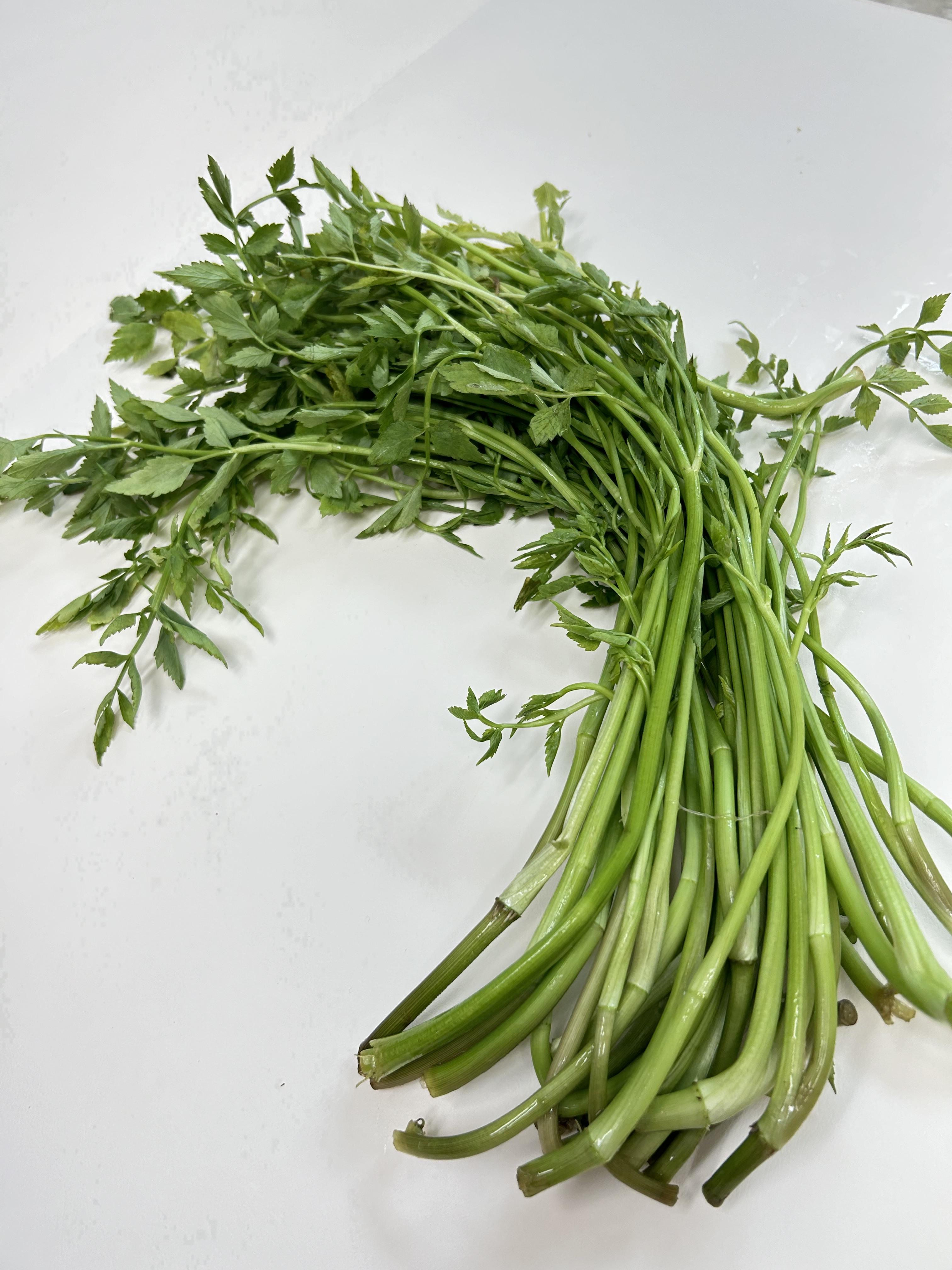 미나리의 효능과 먹는법, 미나리 부작용