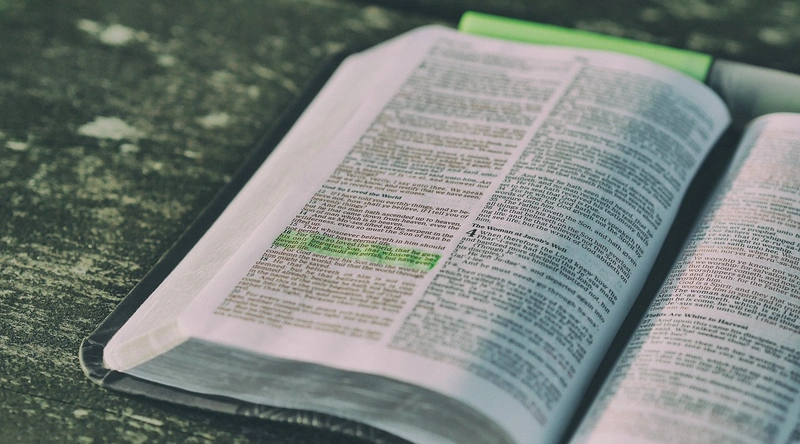 건설업 창업, 초기 자본과 성공 노하우 공개