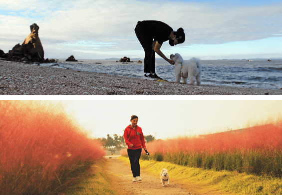 김포공항 애견센터 독독