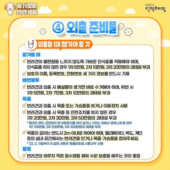 강아지외출준비물