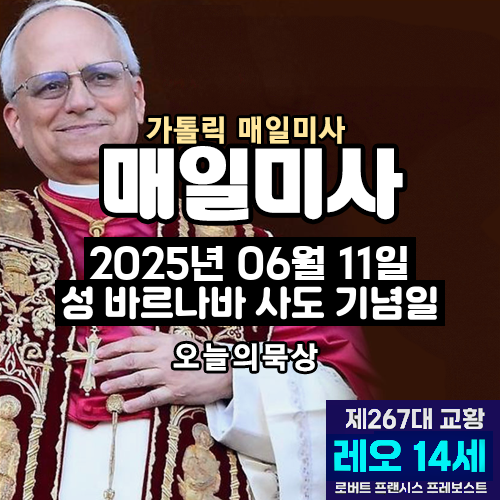 2025년 6월 11일 매일미사 성 바르나바 사도 기념일 오늘의 묵상
