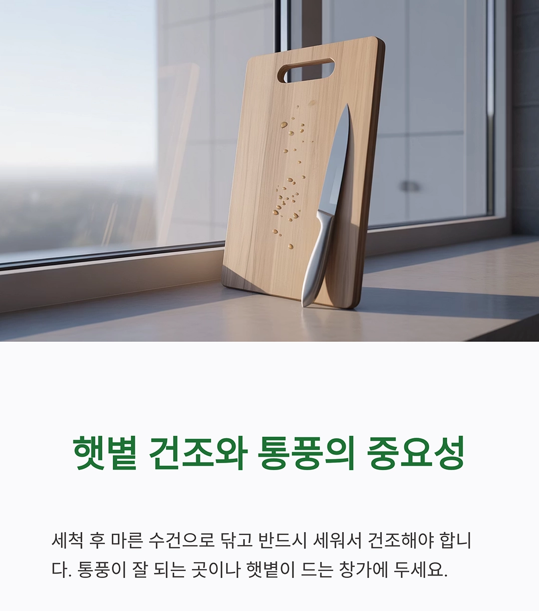 도마 오래 쓰는 관리법, 주방 위생 지키는 비밀 습관