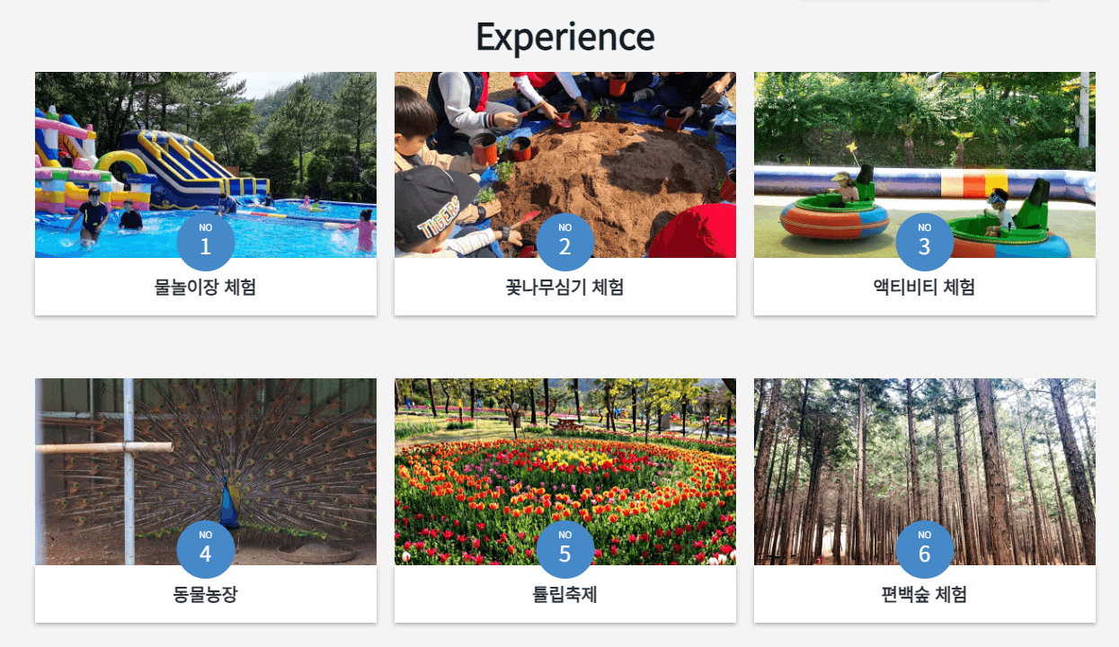 장흥 하늘빛수목정원 튤립축제
