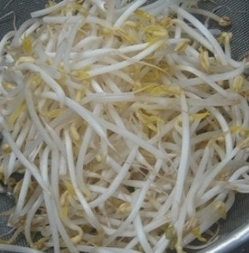 숙주나물의 효능 부작용 요리 고르는법