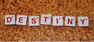 성격이 운명에 미치는 영향: 성공하는 성격은 따로 있을까?