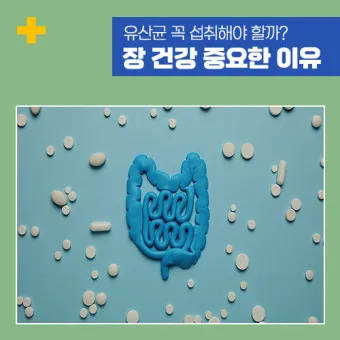유산균 종류 먹는 시간 섭취방법_6