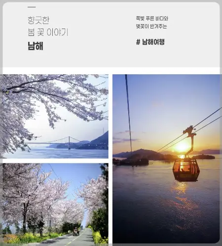 해랑열차 홈페이지&amp;#44; 가격10