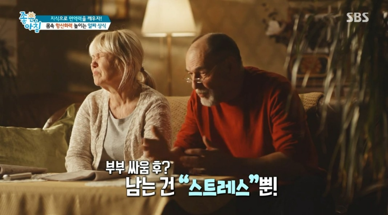 부부싸움 스트레스 활성 산소 독소