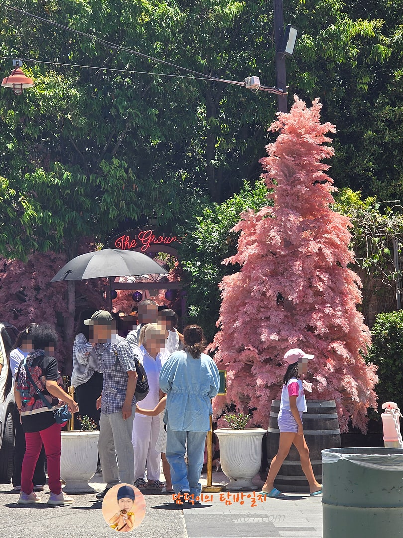 더 그라운즈 오브 알렉산드리아(The Grounds of Alexandria)