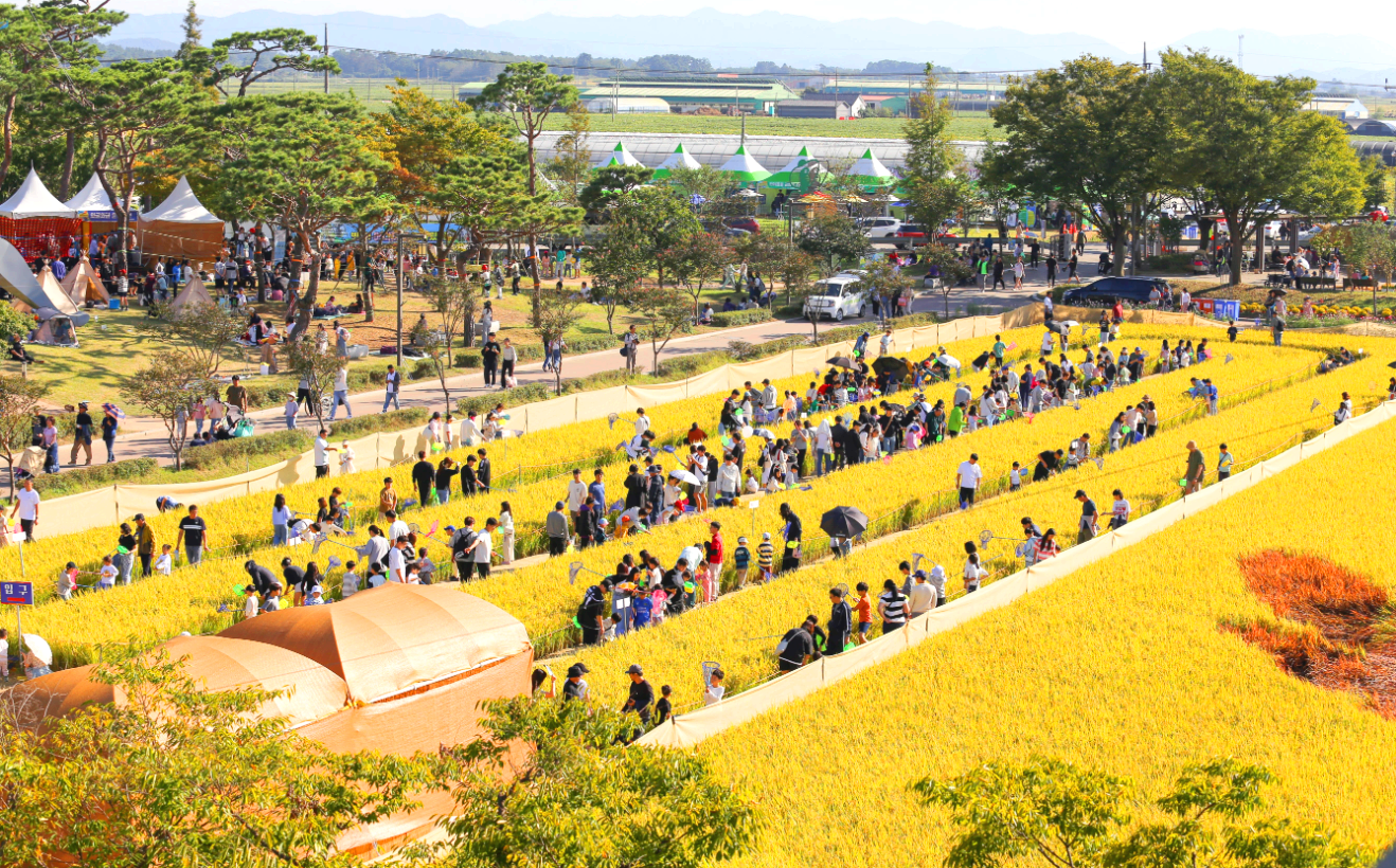 김제 지평선축제
