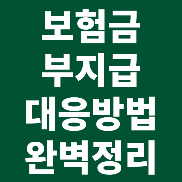 보험금 부지급 대응 방법 완벽 정리: 절차부터 성공 전략까지