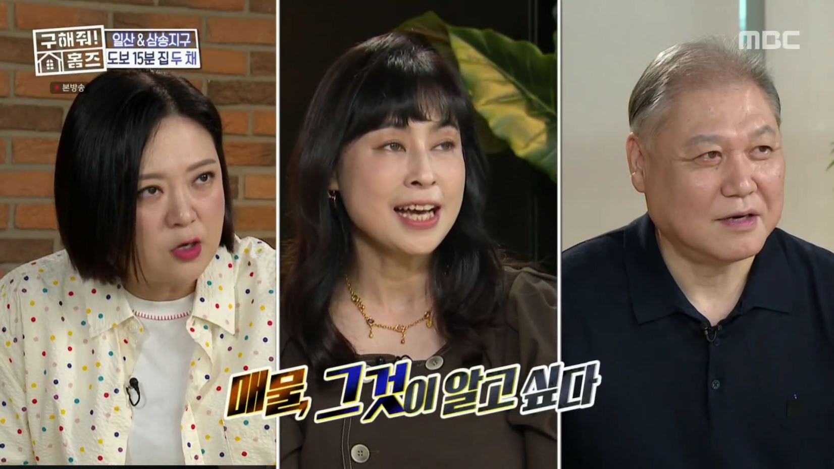 구해줘홈즈 고양시 일산서구 덕이동 최강 옆집 하우스 매물 가격 및 구조 인테리어 리모델링 소개