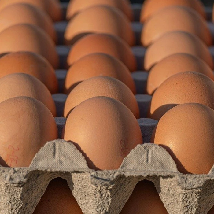 카사바 영양 성분