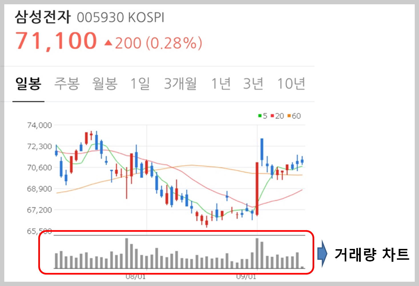 검색 사이트에서 거래량 차트