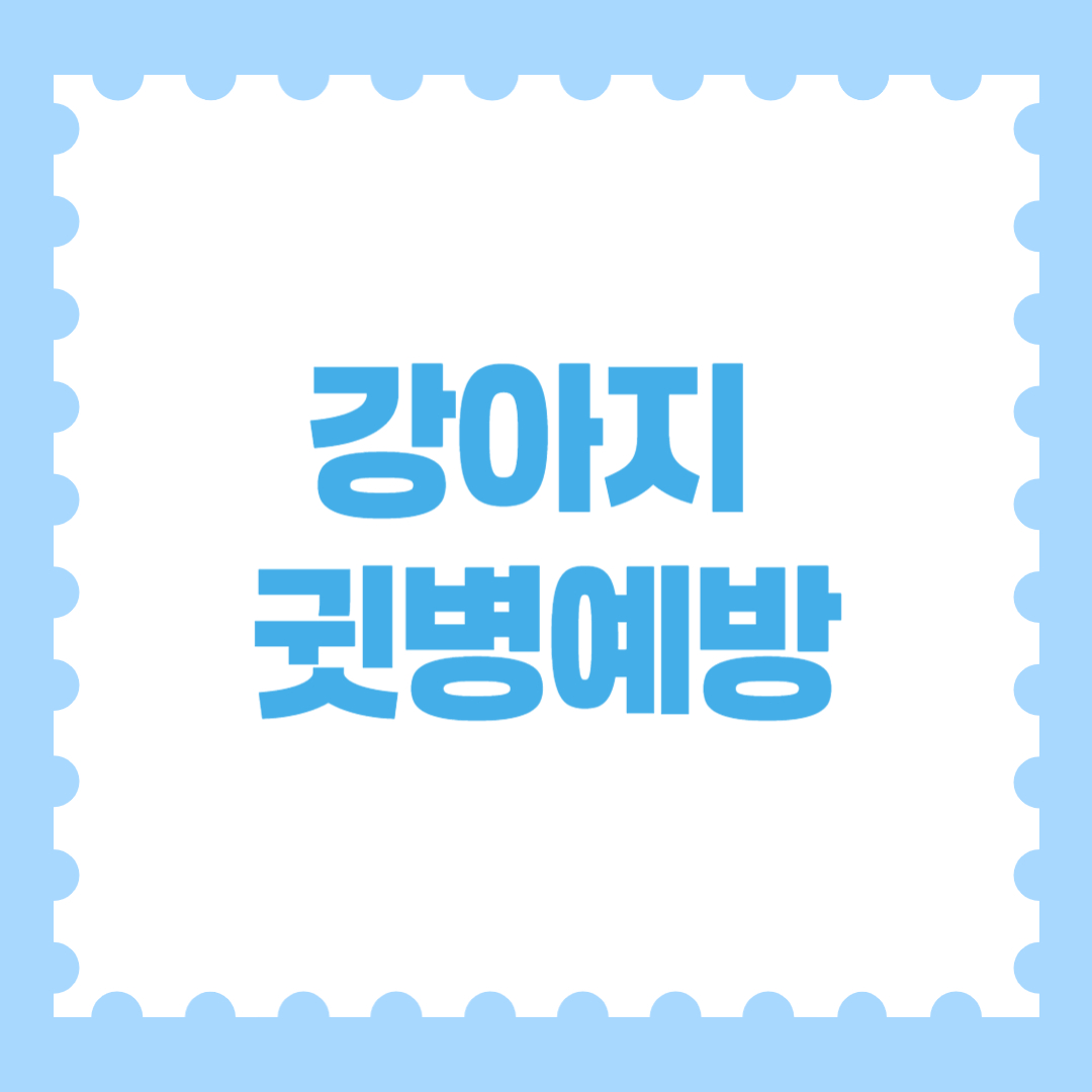 강아지 귓병