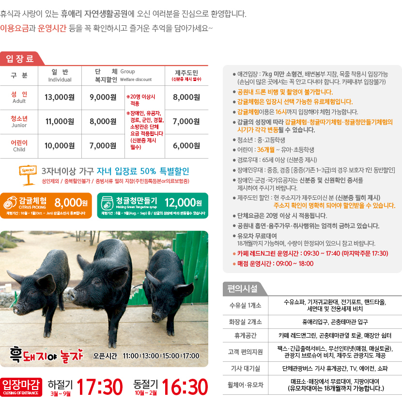 휴애리 여름 수국축제