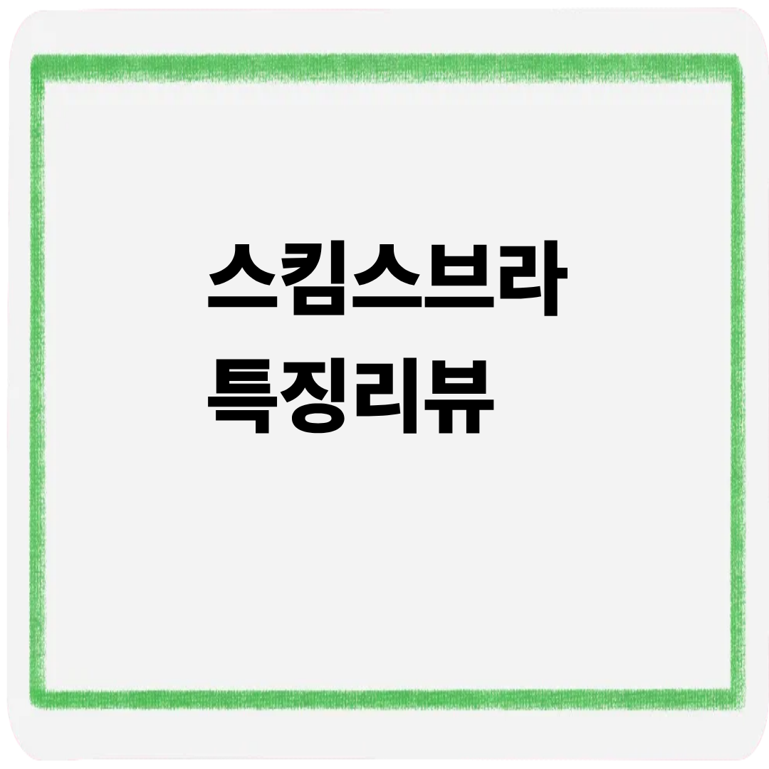 스킴스브라 특징 리뷰