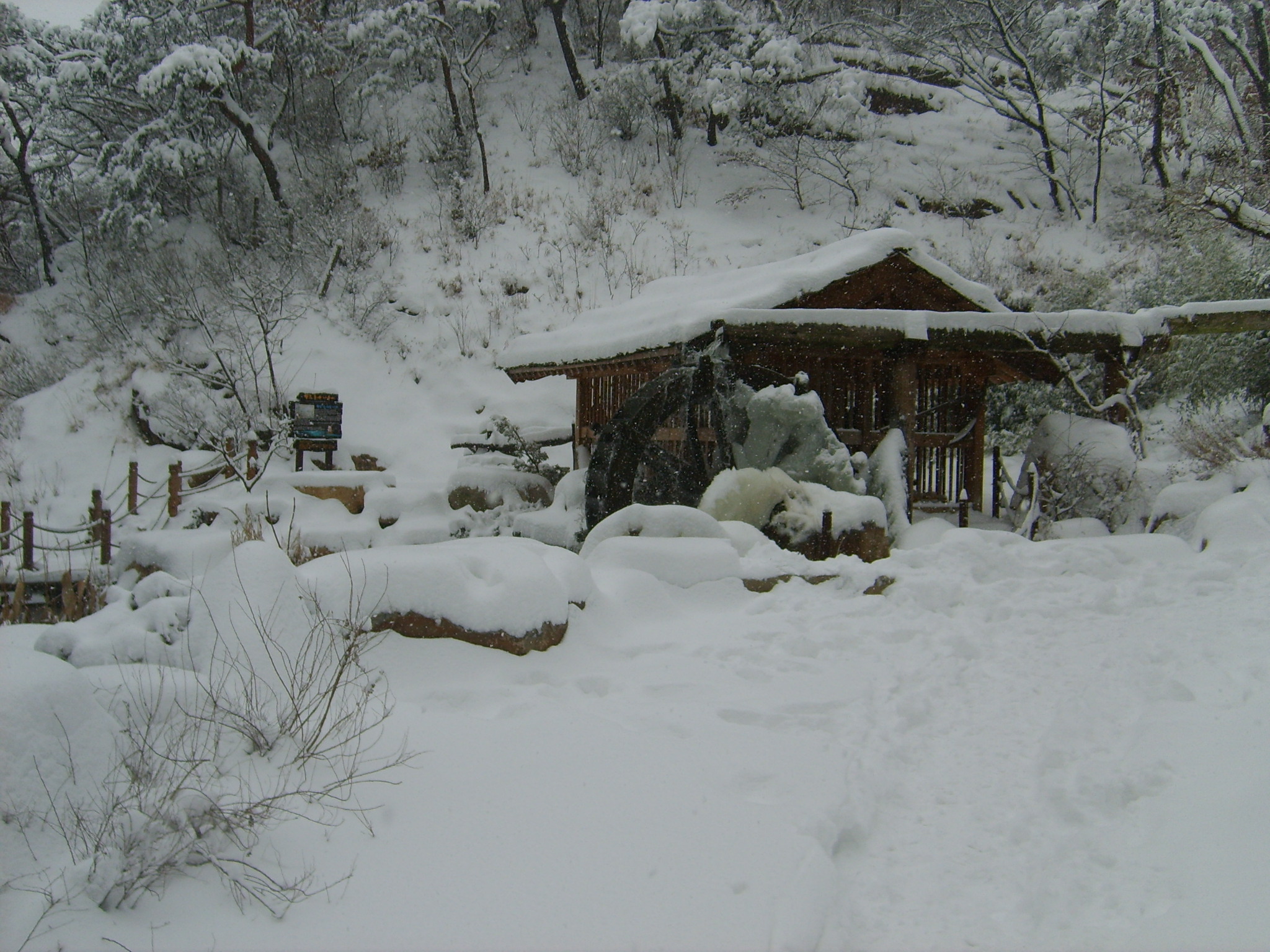 서대문구 안산(Ansan Mountain)