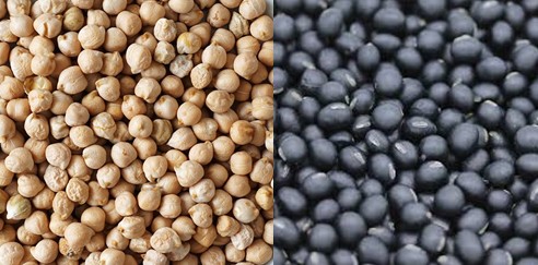 염증수치, 콜레스테롤 수치 낮추는 음식 - 병아리콩과 검은콩의 효능