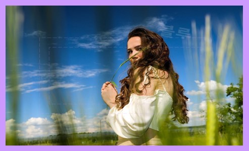 라코스테 버튼 카디건 특징