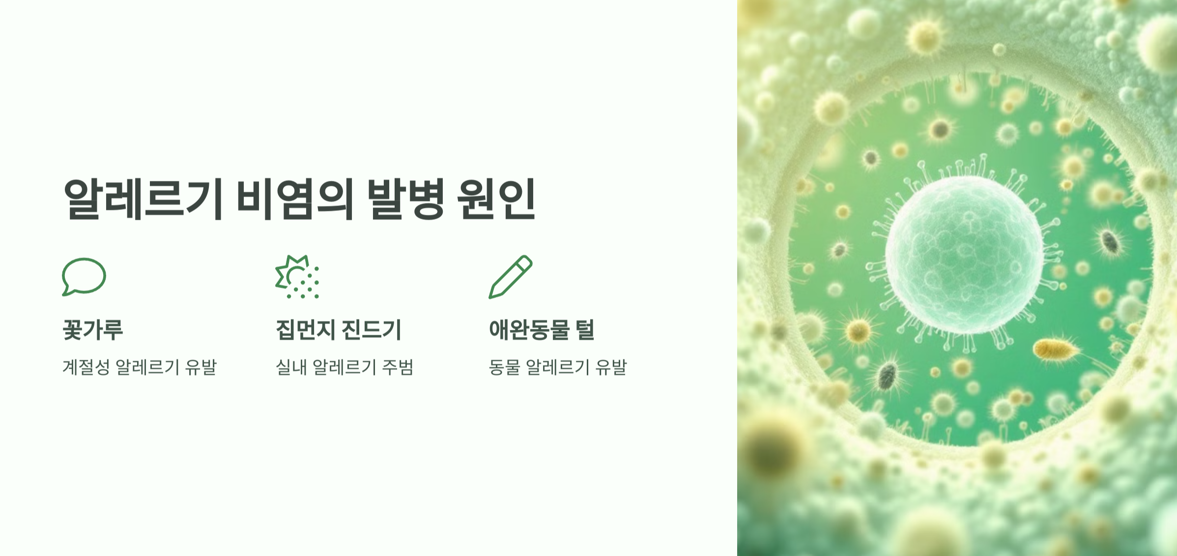 알레르기 비염 발병 원인 요약 사진